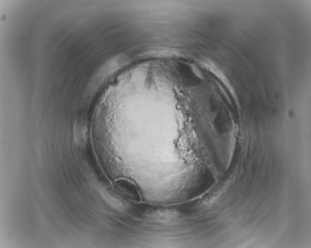 X0000066090063200603171106