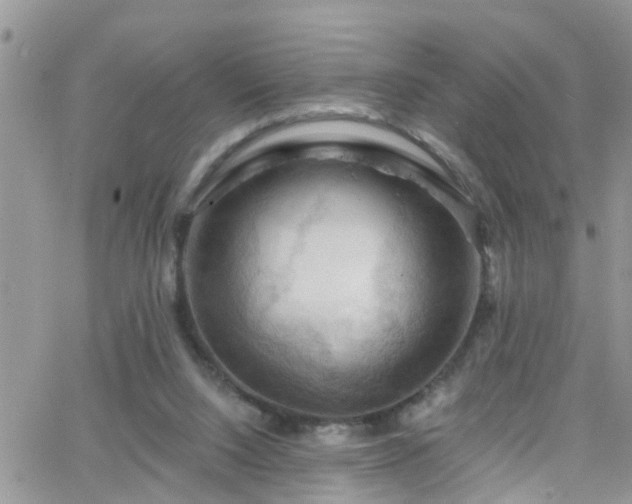 X0000066090064200603171106