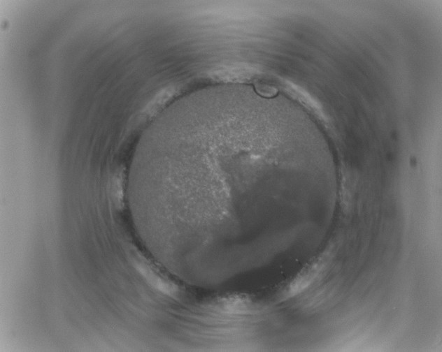 X0000066090065200603171106