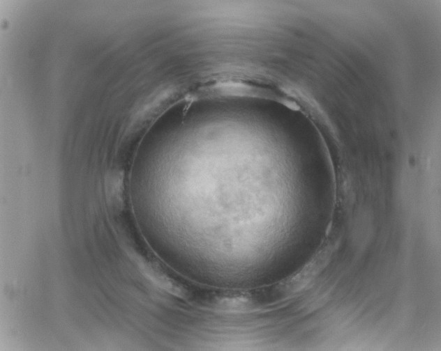 X0000066090066200603171106