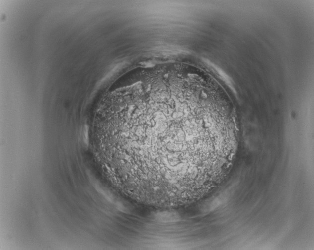 X0000066090067200603171106