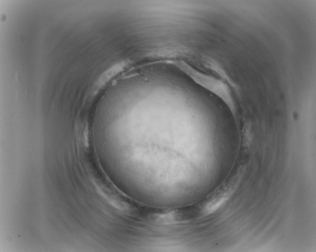 X0000066090068200603171106