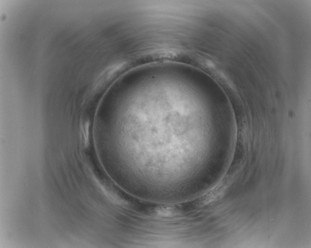 X0000066090070200603171106