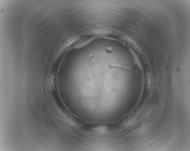 X0000066090071200603171106