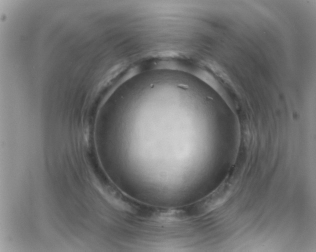 X0000066090072200603171106