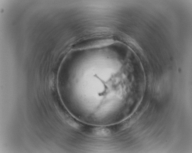 X0000066090073200603171106