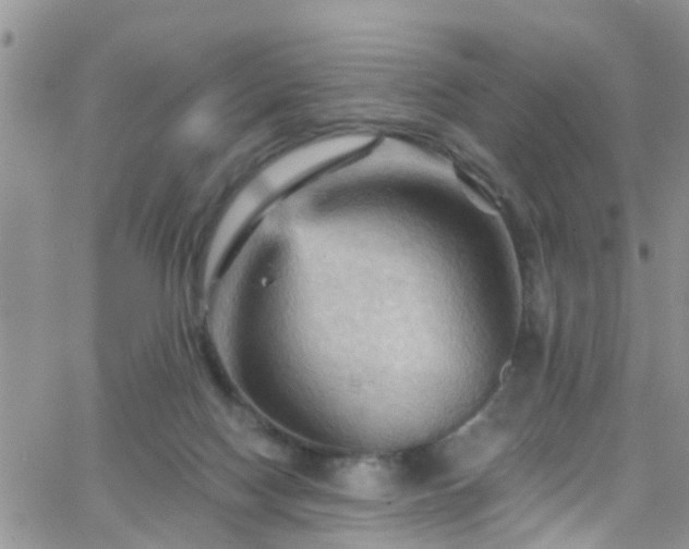 X0000066090074200603171106