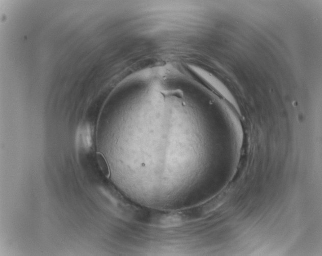 X0000066090075200603171106