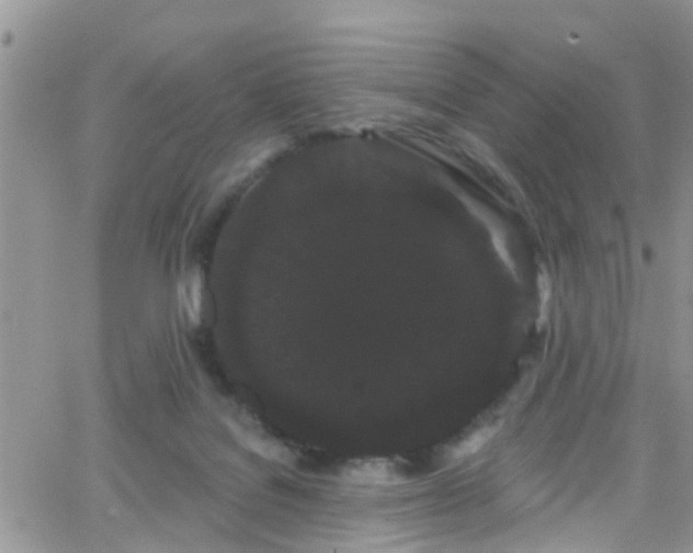 X0000066090076200603171106