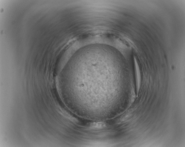 X0000066090077200603171106