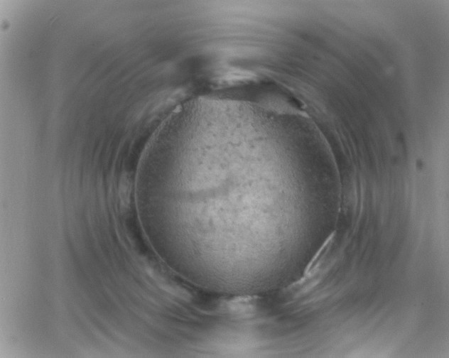 X0000066090078200603171106