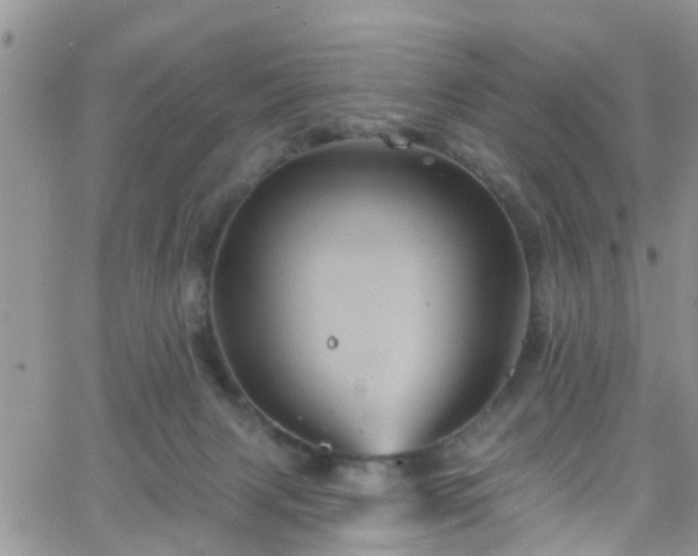 X0000066090079200603171106