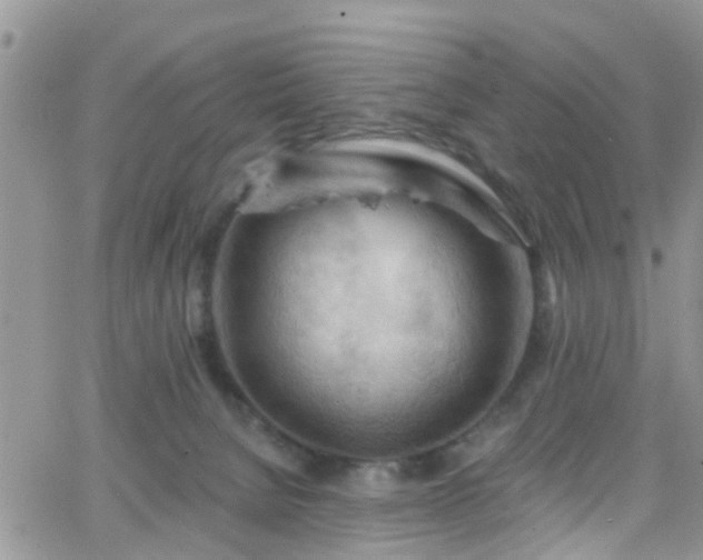 X0000066090080200603171106