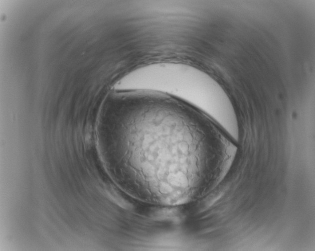 X0000066090081200603171106