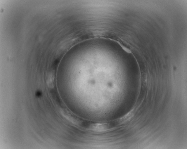 X0000066090082200603171106