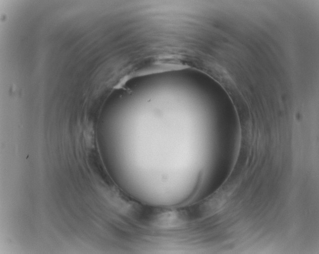 X0000066090083200603171106