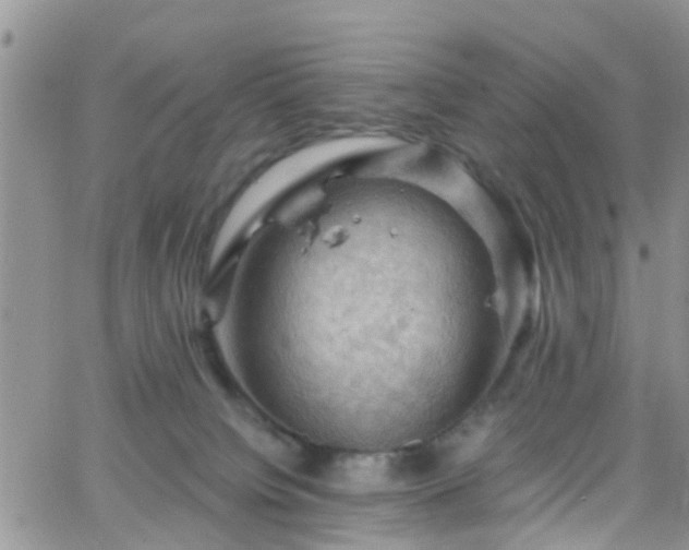 X0000066090084200603171106