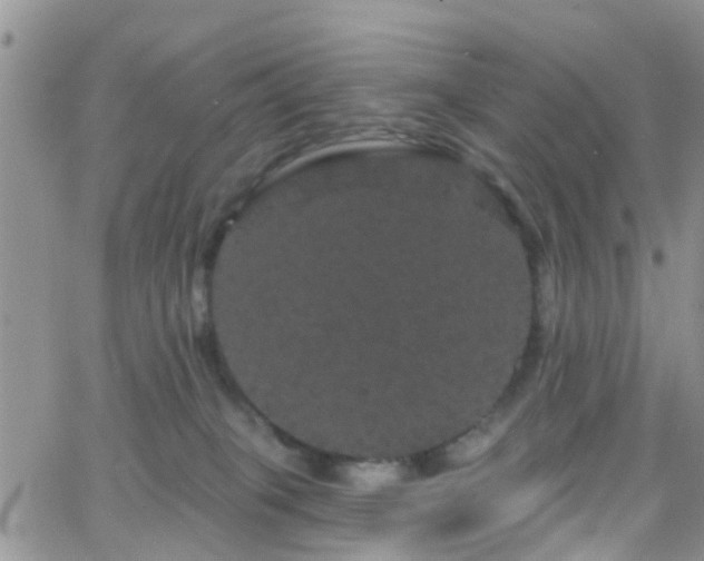 X0000066090085200603171106