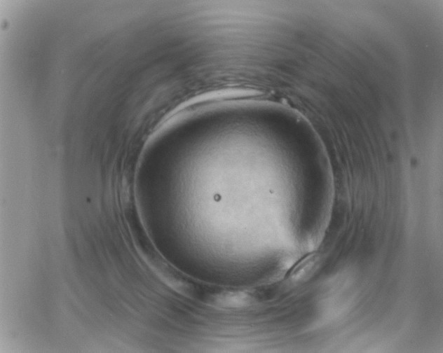 X0000066090086200603171106