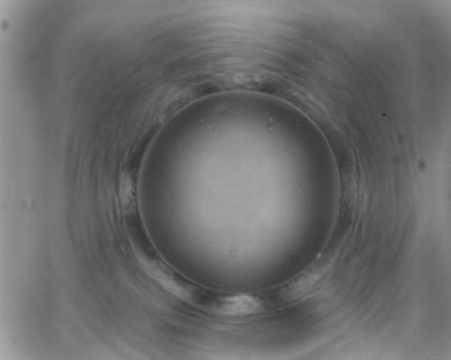 X0000066090087200603171106