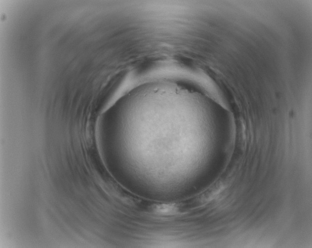 X0000066090088200603171106