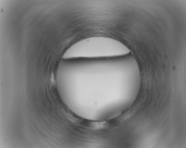 X0000066090089200603171106