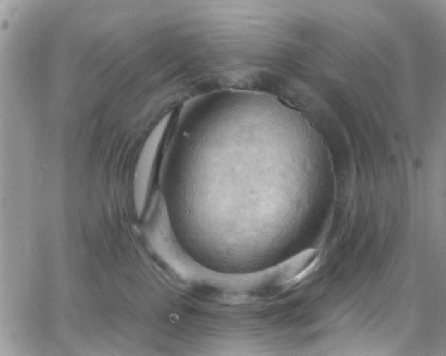 X0000066090090200603171106