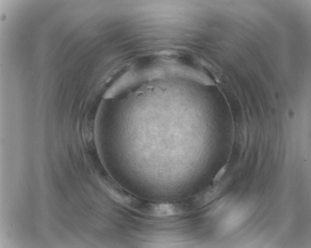 X0000066090091200603171106