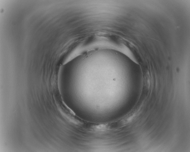 X0000066090092200603171106