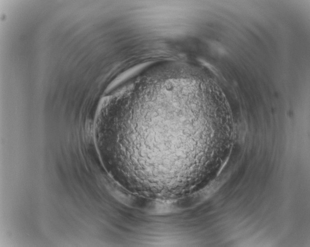 X0000066090093200603171106