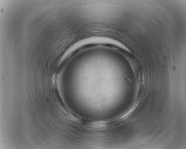 X0000066090094200603171106