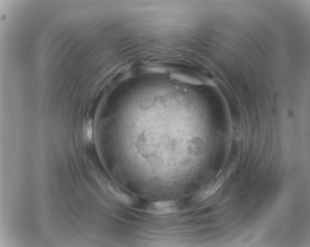 X0000066090095200603171106