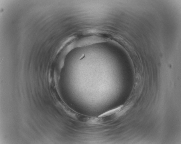 X0000066090096200603171106