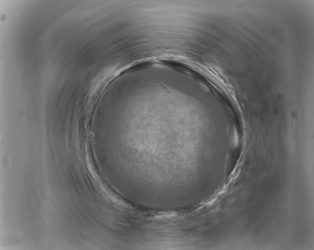 X0000066090097200603171105