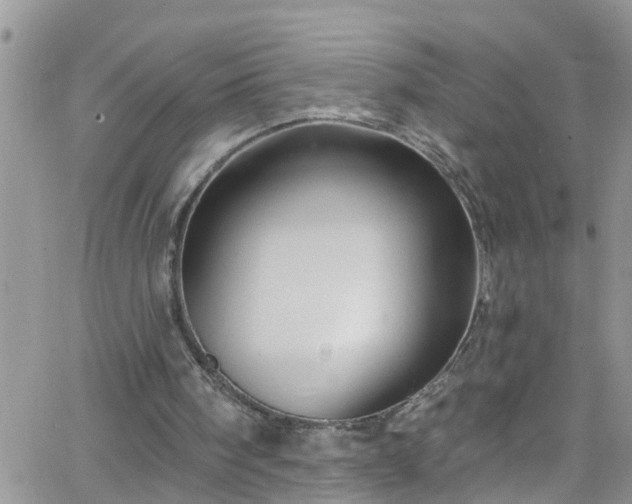 X0000066090098200603171105