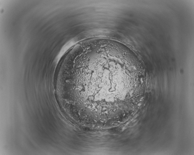 X0000066090099200603171105