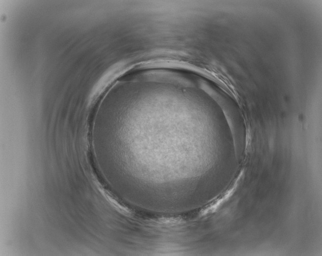 X0000066090101200603171105