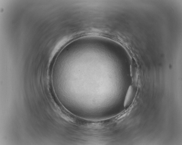 X0000066090102200603171105