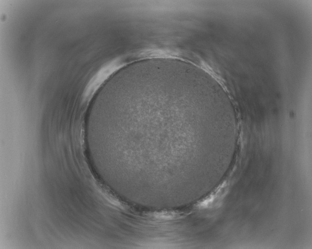 X0000066090103200603171105