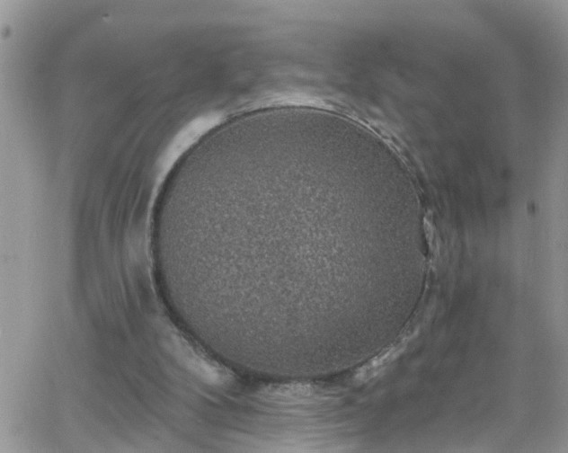 X0000066090104200603171105