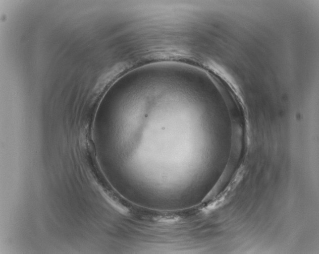 X0000066090105200603171105