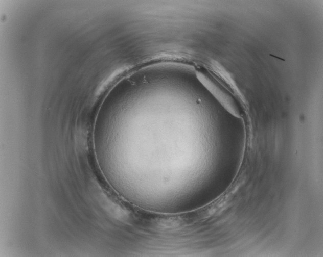 X0000066090106200603171105