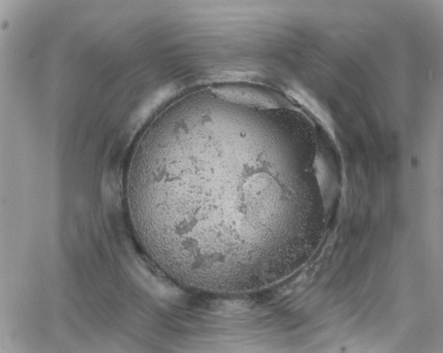 X0000066090107200603171105