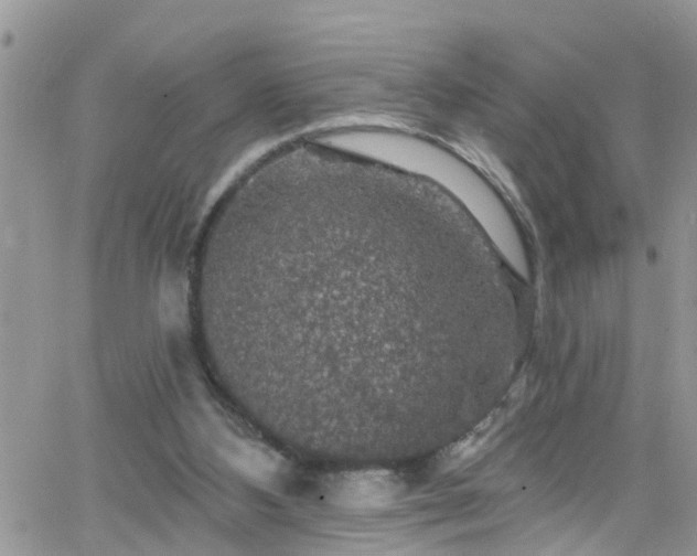 X0000066090108200603171105