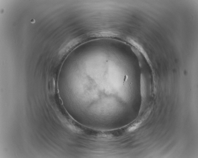 X0000066090109200603171105