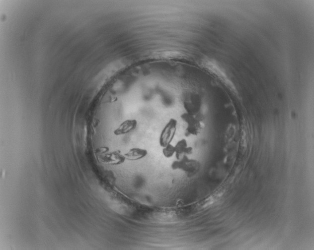 X0000066090110200603171105