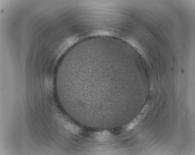 X0000066090112200603171105