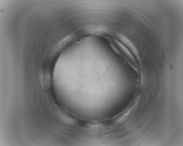 X0000066090113200603171105