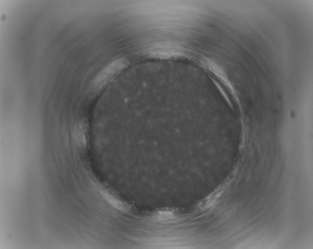 X0000066090114200603171105