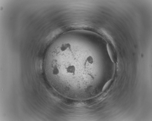 X0000066090115200603171105